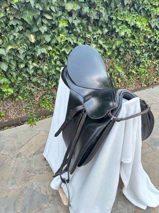 Montura Doma Caprilli Negra