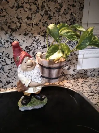 Figura enanito resina con tiesto y pájaro