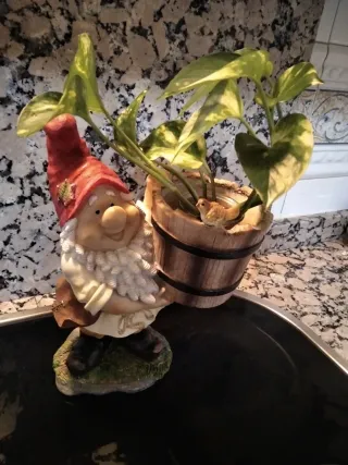 Figura enanito resina con tiesto y pájaro