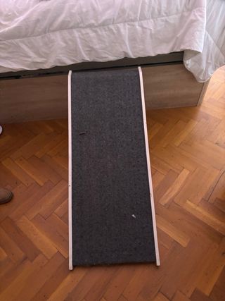 Rampa para perros