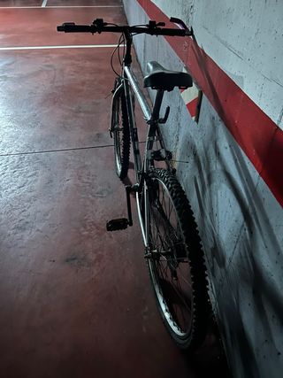Bicicleta de montaña