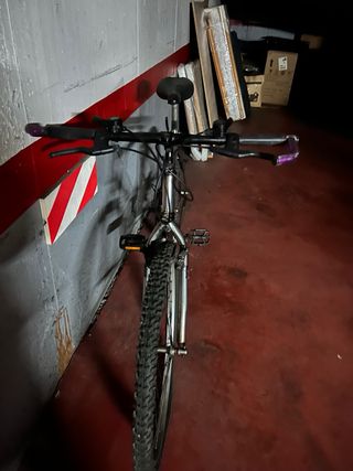 Bicicleta de montaña