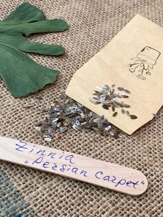 Zinnia Persian Carpet Speciale & Solare