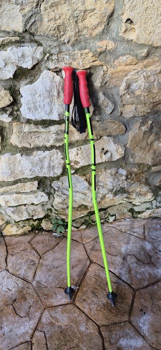 Bastones Elan Esquí