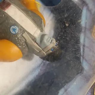 Mummies Alive! Ja-Kal Figura 1998 Blister Original