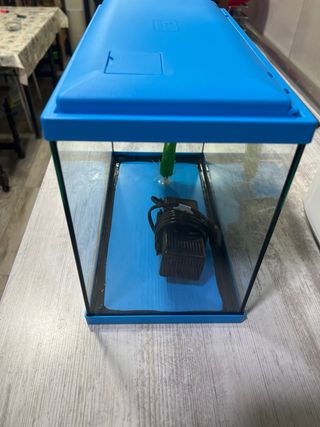 Acuario 25L con filtro y planta