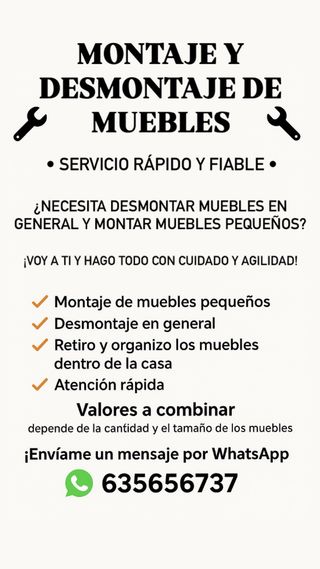Montaje y Desmontaje de Muebles