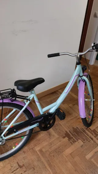 Bicicleta Paseo Mint/Morado