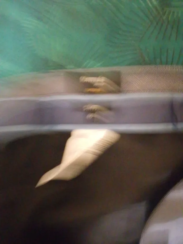 Formula Joven Pantalones Slim Gris Talla 46