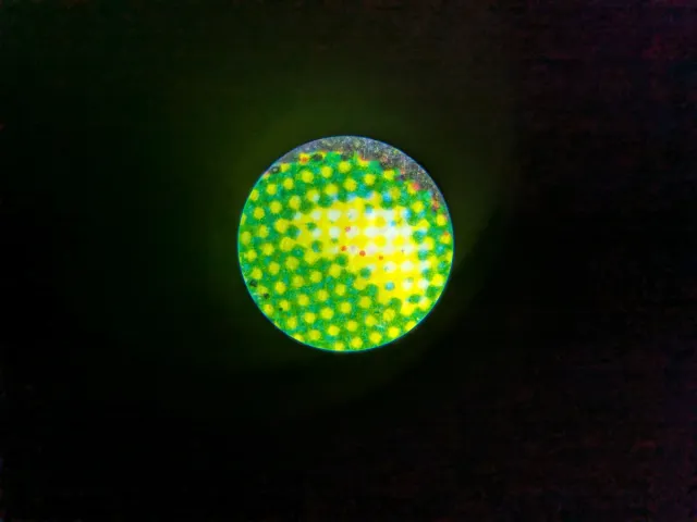 Scrubland Revised MTG dual land