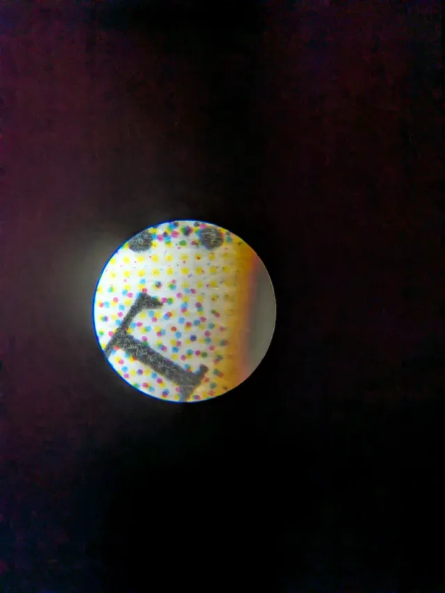 Scrubland Revised MTG dual land