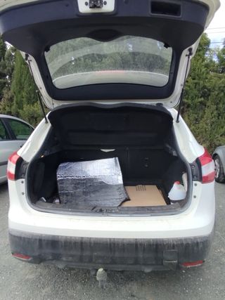 Nissan Qashqai modelo Visia