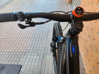 Specialized Turbo Levo 29