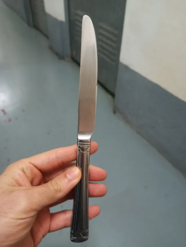 5 cuchillos de metal plateado