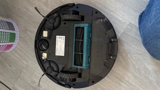 Conga Eternal Pet Usada