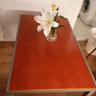 Tavolo da cucina estensibile in legno e metallo