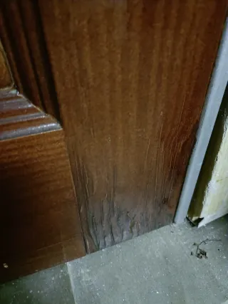 Puerta blindada de calle