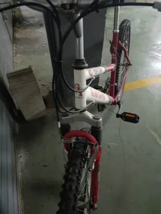 Bicicleta Montaña Globe Trotter 26