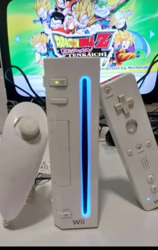 Nintendo Wii + Accesorios