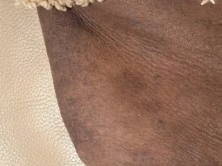 Chaqueta de piel auténtica bordada