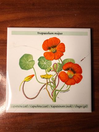 Azulejo planta capuchina