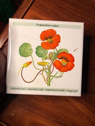 Azulejo planta capuchina