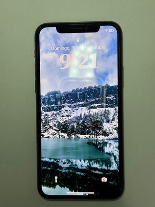 iPhone 11 Pro 256GB Gris Espacial