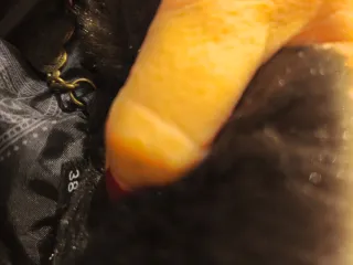 Abrigo Desigual Marrón y Dorado