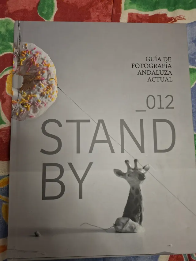 STAND BY_012.GUIA DE FOTOGRAFIA ANDALUZA ACTUAL