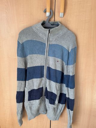 Maglione Zip Tommy Hilfiger Righe Blu Grigio