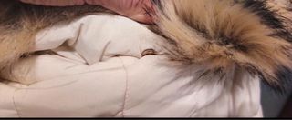 Plumífero Zara crema con capucha