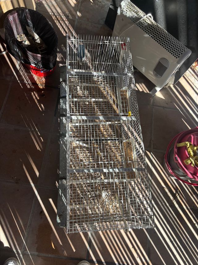 Jaula para pájaros plateada