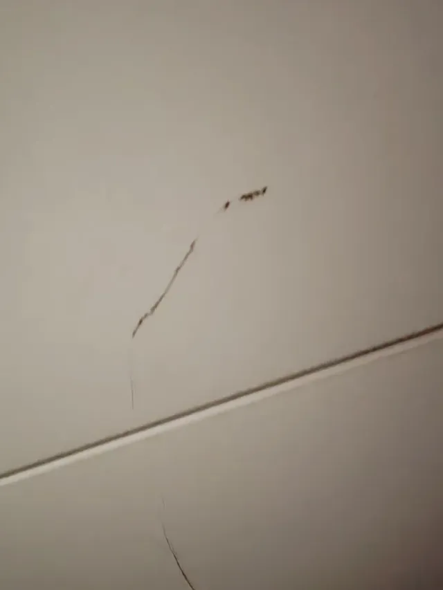 2 Comode Bianche di Ikea