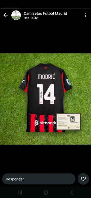 Camiseta Futbol de cualquier equipo