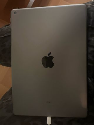 iPad 7ª Gen