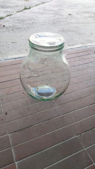 Vaso grande in vetro trasparente