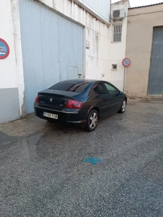 Peugeot 407 2006