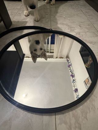 Specchio da trucco rotondo nero