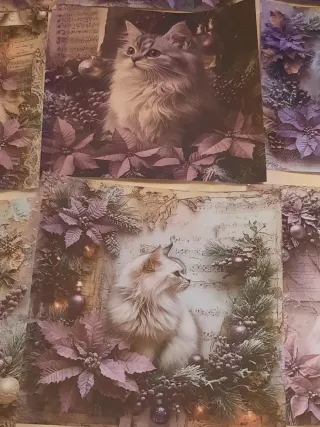 Conjunto 12 folhas papel gato Natal