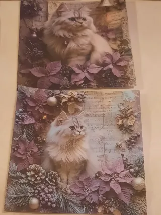 Conjunto 12 folhas papel gato Natal