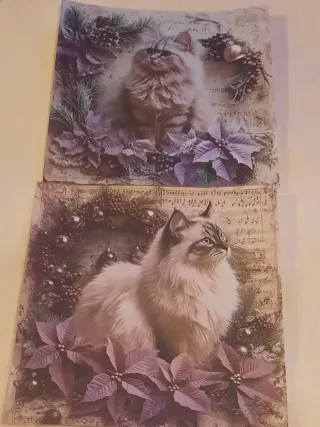 Conjunto 12 folhas papel gato Natal