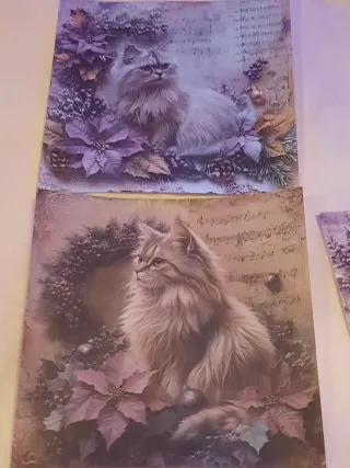 Conjunto 12 folhas papel gato Natal