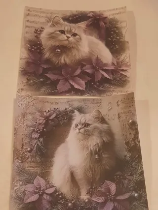 Conjunto 12 folhas papel gato Natal