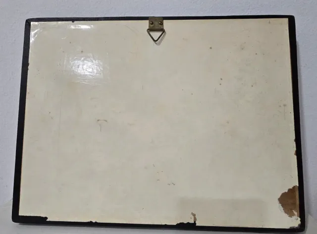 Colección Mariposas Exhibición