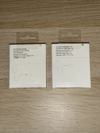 Caricatore iPhone + Cavo USB-Lightning Originale