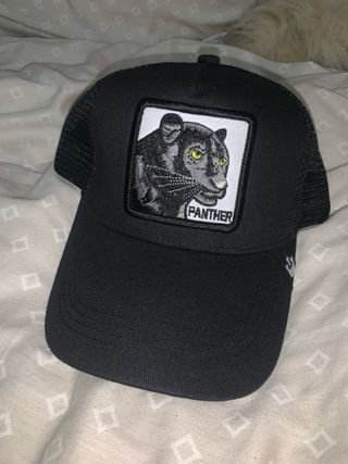 Gorra Goorin Bros Pantera Negra