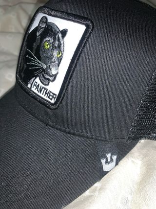 Gorra Goorin Bros Pantera Negra