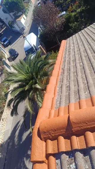 Se reparaciónes de tejados