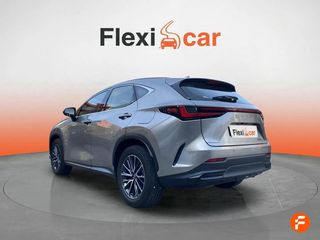 Lexus NX 350h Business City 4WD