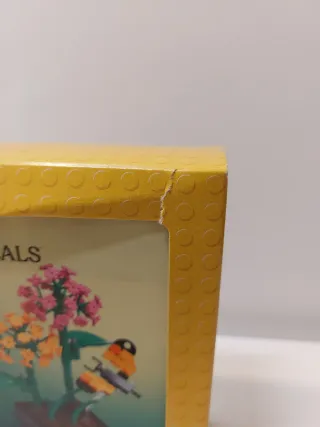 LEGO 6586991/5009408 Butterfly Garden (Botanicals)